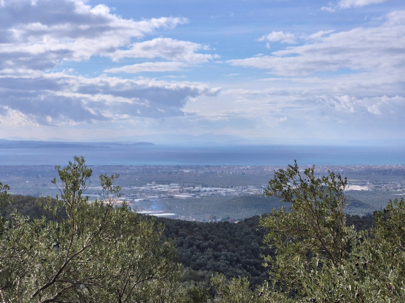 Edremit Ortaoba Mah`daZeytinlik. - 19